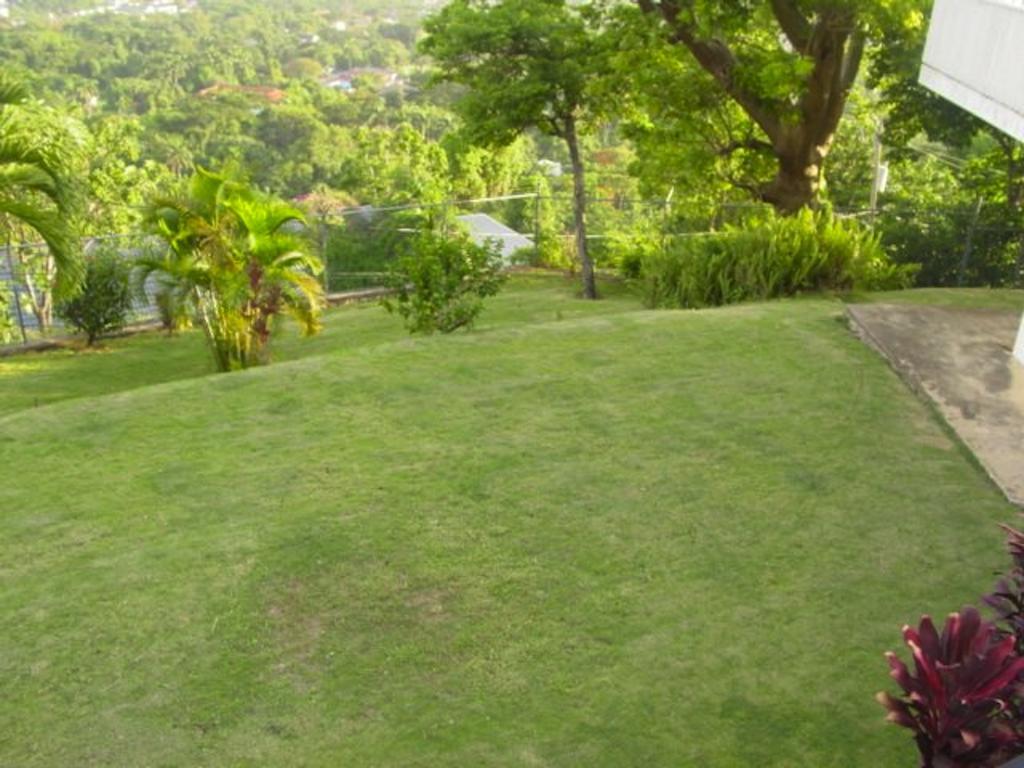 Hill Top Kingston Jamaica Exterior foto
